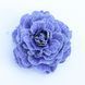 купити Примула Belarina Baltic Blue