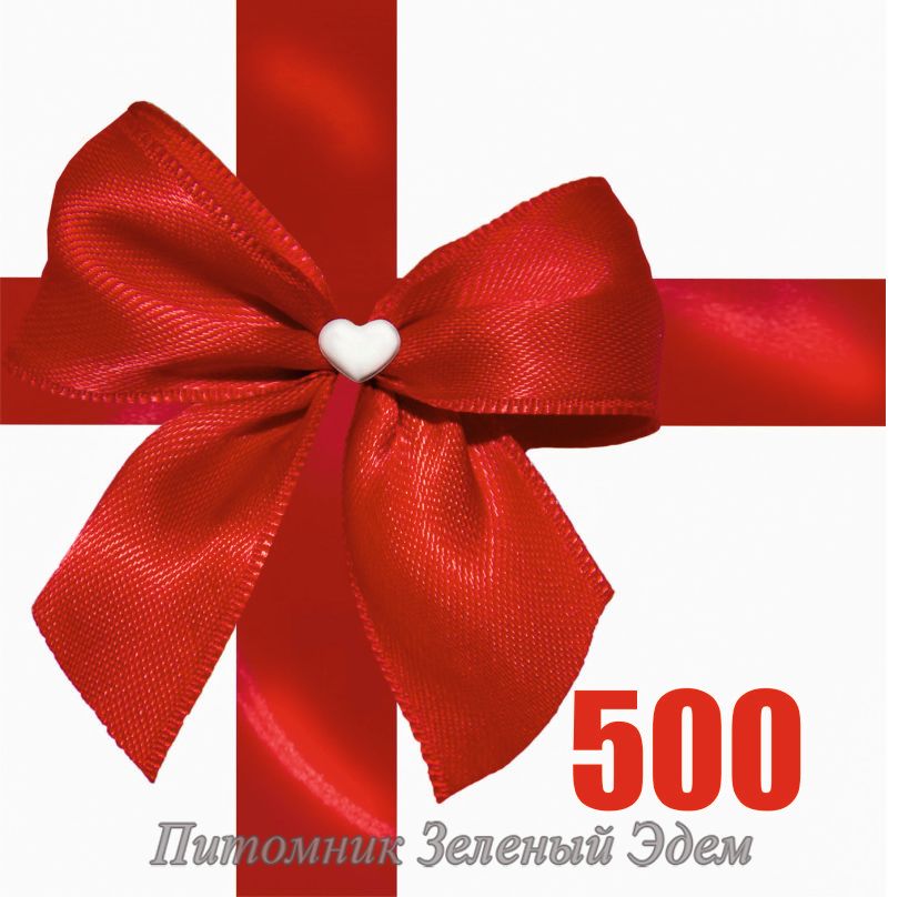 Подарунковий сертифікат 500